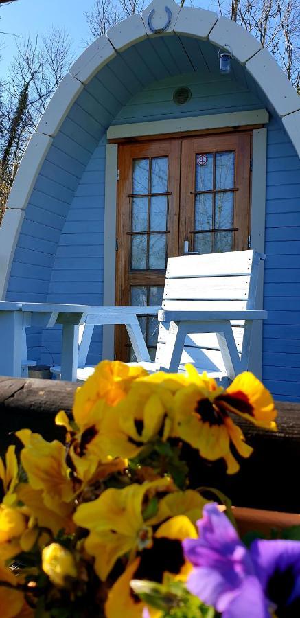 Glamping At Treegrove Hotel Kilkenny Buitenkant foto