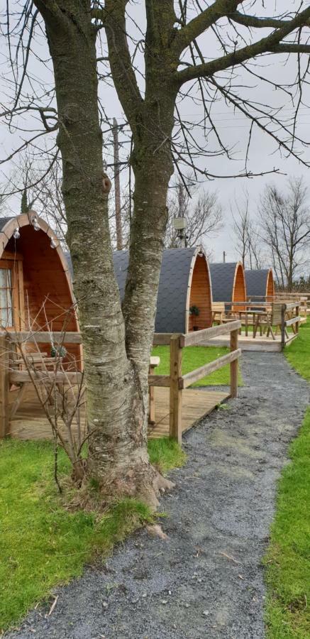 Glamping At Treegrove Hotel Kilkenny Buitenkant foto